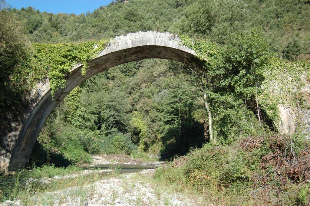 B&B Calabria Scigliano Экстерьер фото