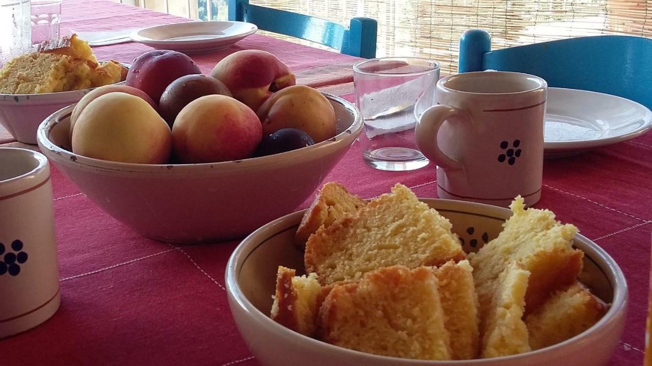 B&B Calabria Scigliano Экстерьер фото